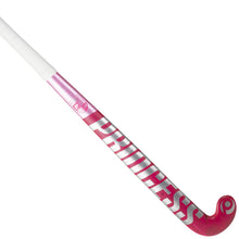 PRINCESS Indoor Premium 4K 10 STAR hockey stick (2027)
