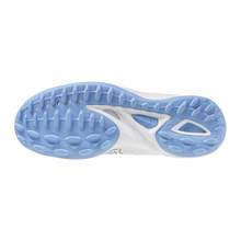 Mizuno Wave Leopardus